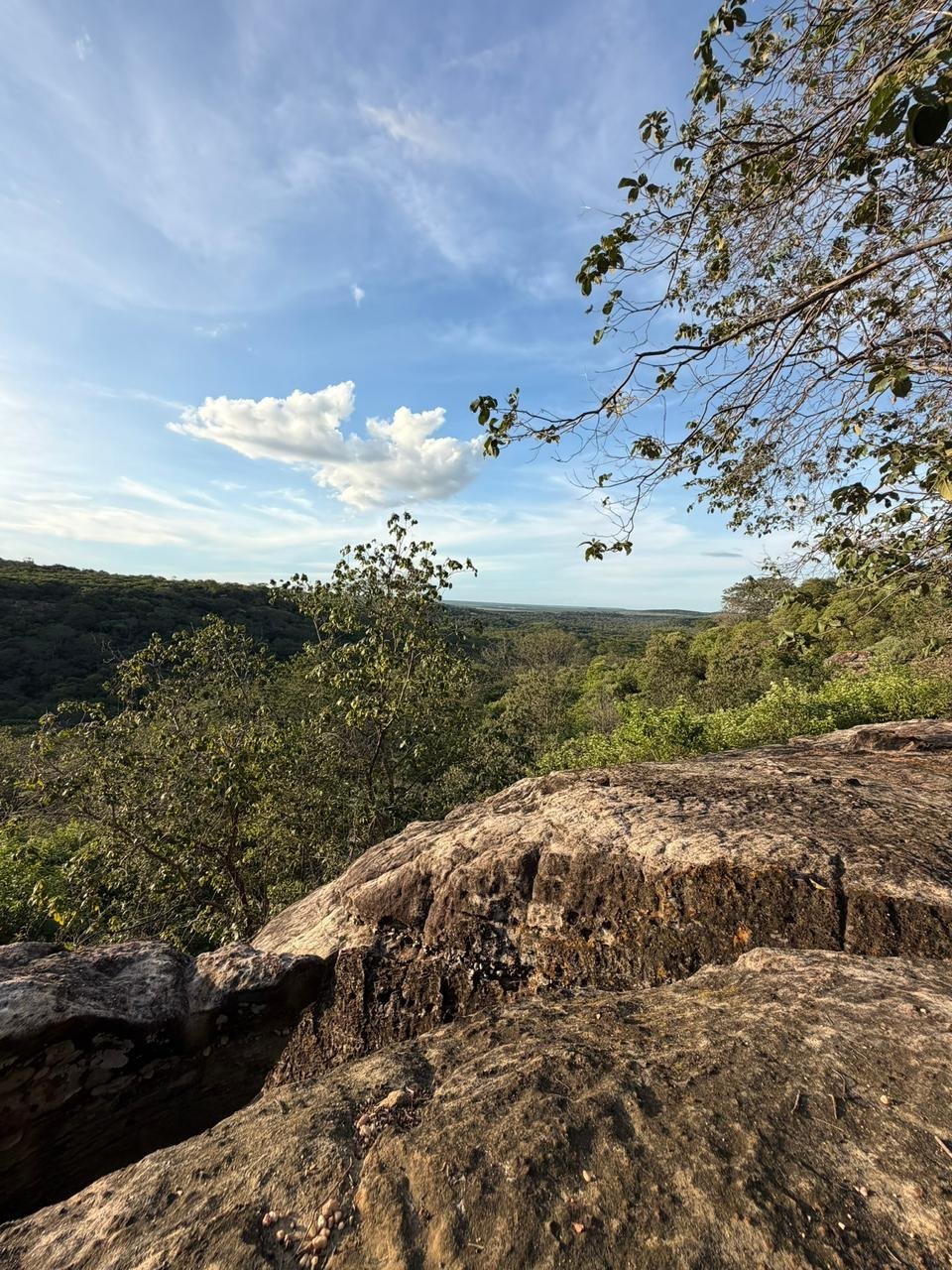 Paisagem do Baixão do Milho no sul do Piauí